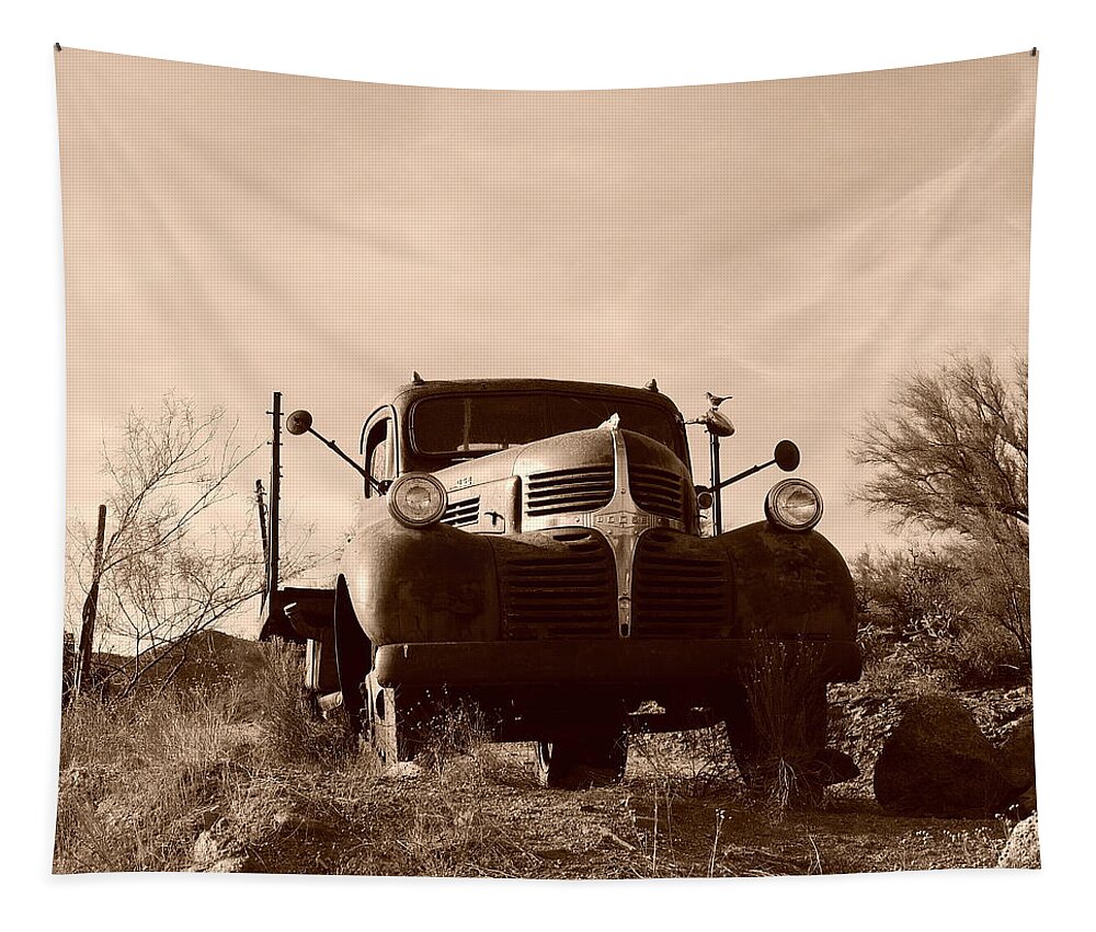 Desert Sepia Patina Tapestry featuring the photograph Desert Sepia Patina by Bill Tomsa