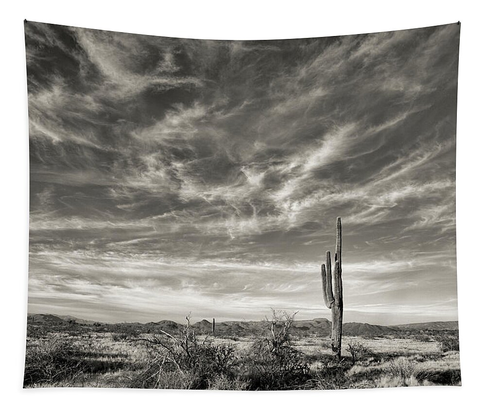 Desert Tapestry featuring the photograph Desert Serenity by Bob Falcone