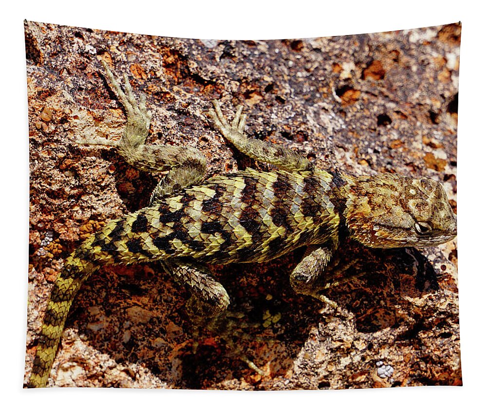Desert Spiny Lizard Tapestry featuring the photograph Desert Spiny Lizard by Brett Harvey