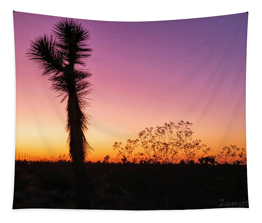 Desert Tapestry featuring the photograph Desert Sunset by David Zumsteg