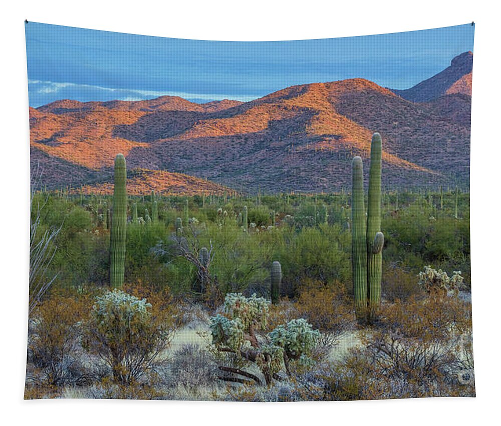 Landscape Tapestry featuring the photograph Desert Sunset II by Seth Betterly