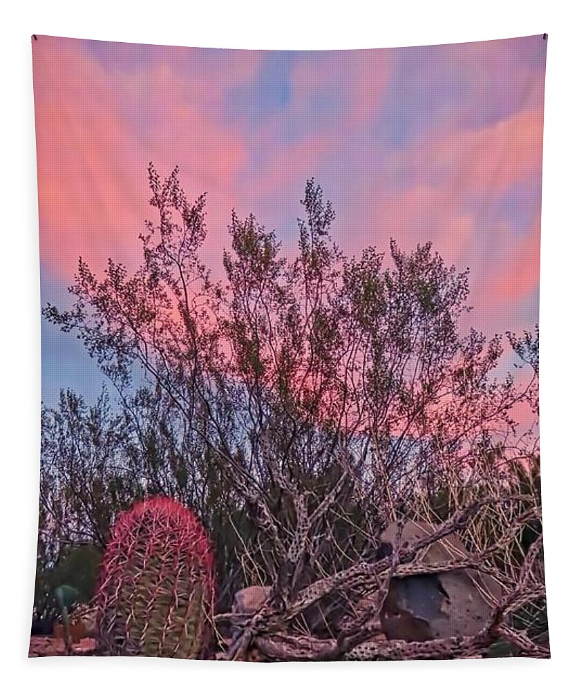 Pink Skies Tapestry featuring the photograph Desert Tranquility by Judy Kennedy
