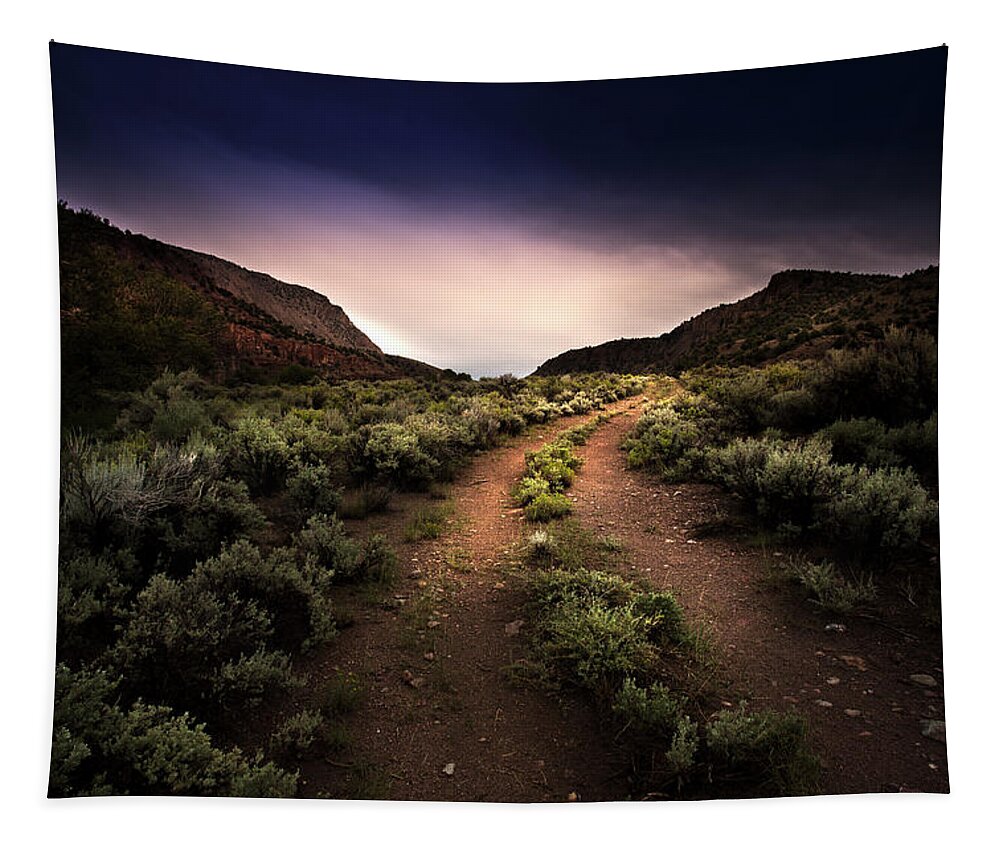 Utah Tapestry featuring the photograph Desert Two Track by Mark Gomez
