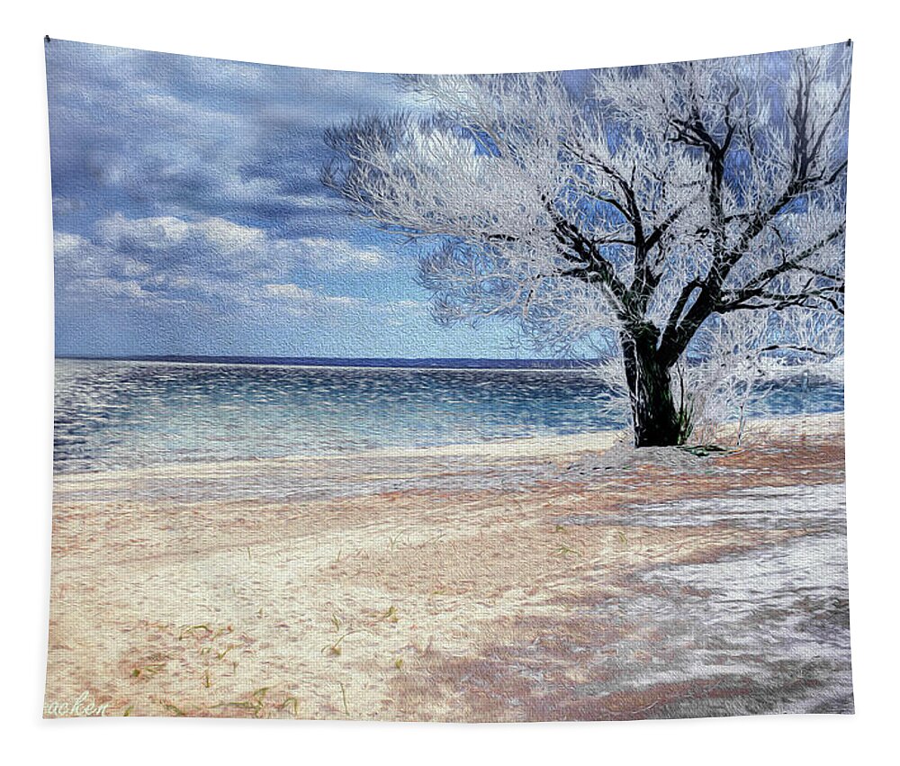 Beach Tapestry featuring the digital art Deserted Beach by Pennie McCracken