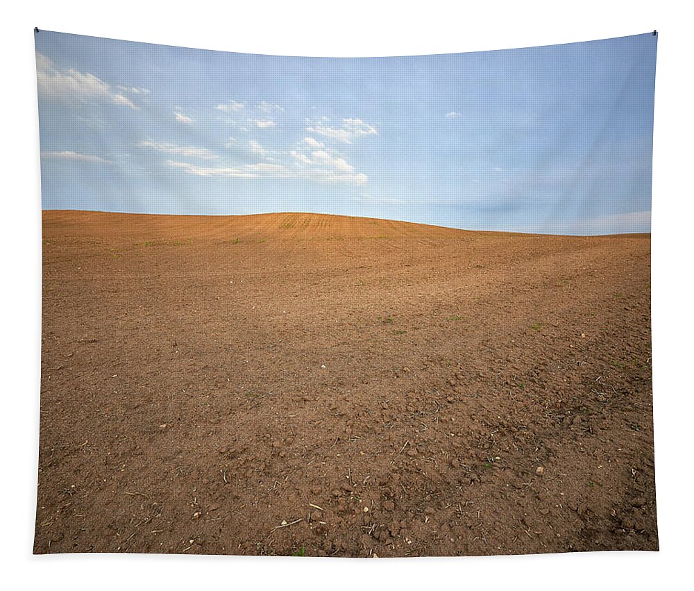 Dry Tapestry featuring the photograph Desolate by Doug Gibbons
