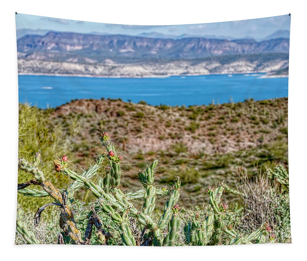 Desert Tapestry featuring the photograph Dessert Lake View by Pamela Dunn-Parrish