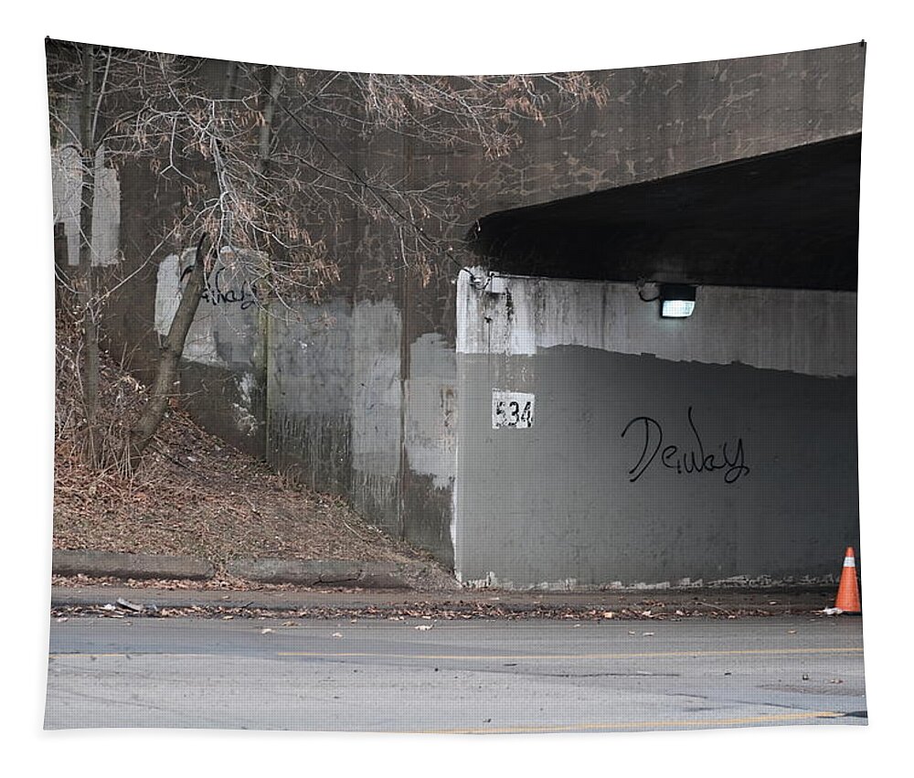 Urban Tapestry featuring the photograph Dewey by Kreddible Trout