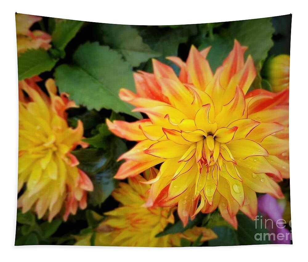 Yellow Flower Tapestry featuring the photograph Dahlias by Dipali Shah