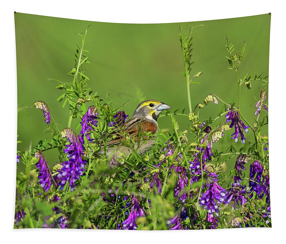 Birds Tapestry featuring the photograph Dickcissel - 8256 by Jerry Owens