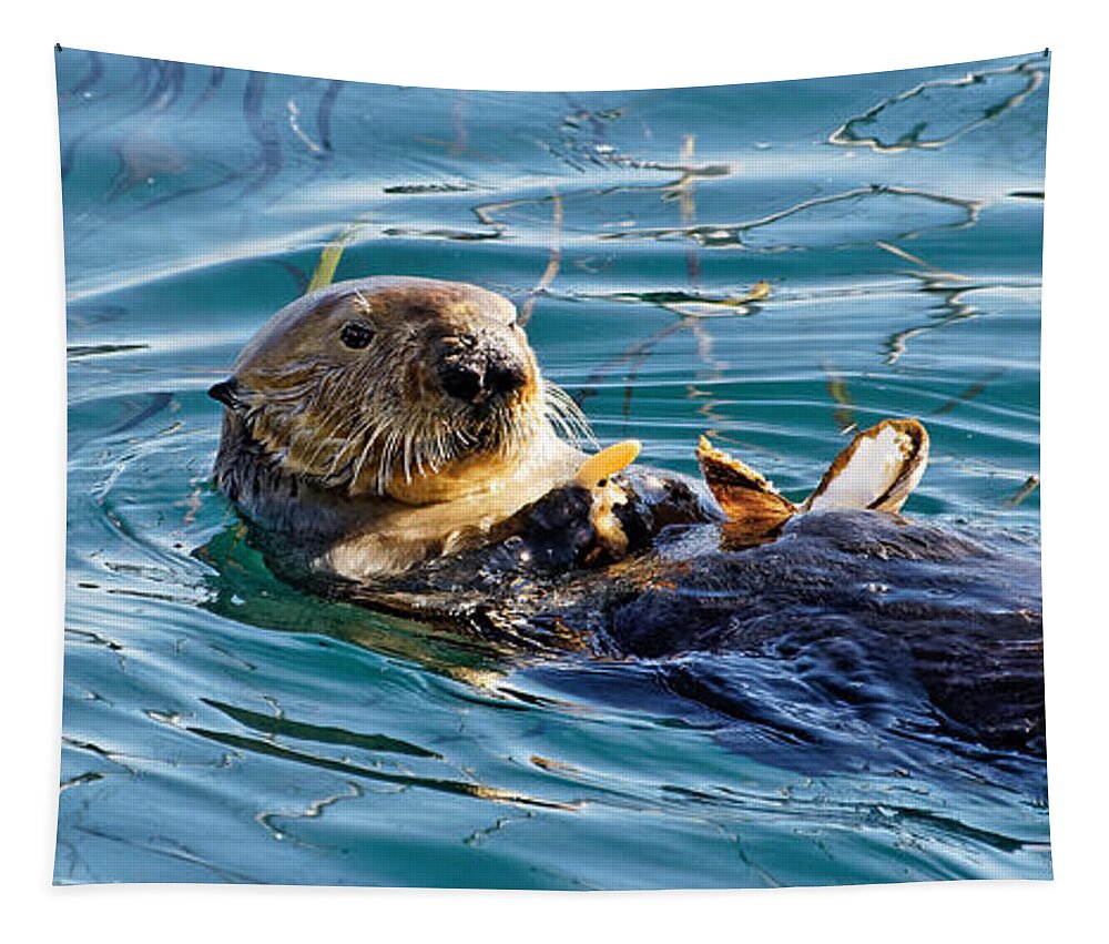 Kj Swan Aquatic Animals Tapestry featuring the photograph Dining Al Fresco - Sea Otter by KJ Swan