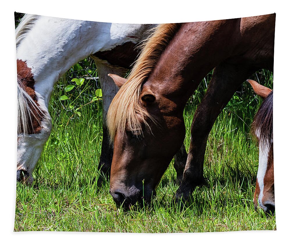 Assateague Island Tapestry featuring the photograph Dining for Three by Rose Guinther