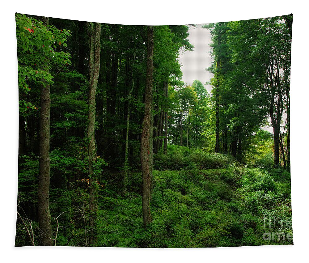 Road Tapestry featuring the photograph Dirt Road in the Smokies by Shelia Hunt