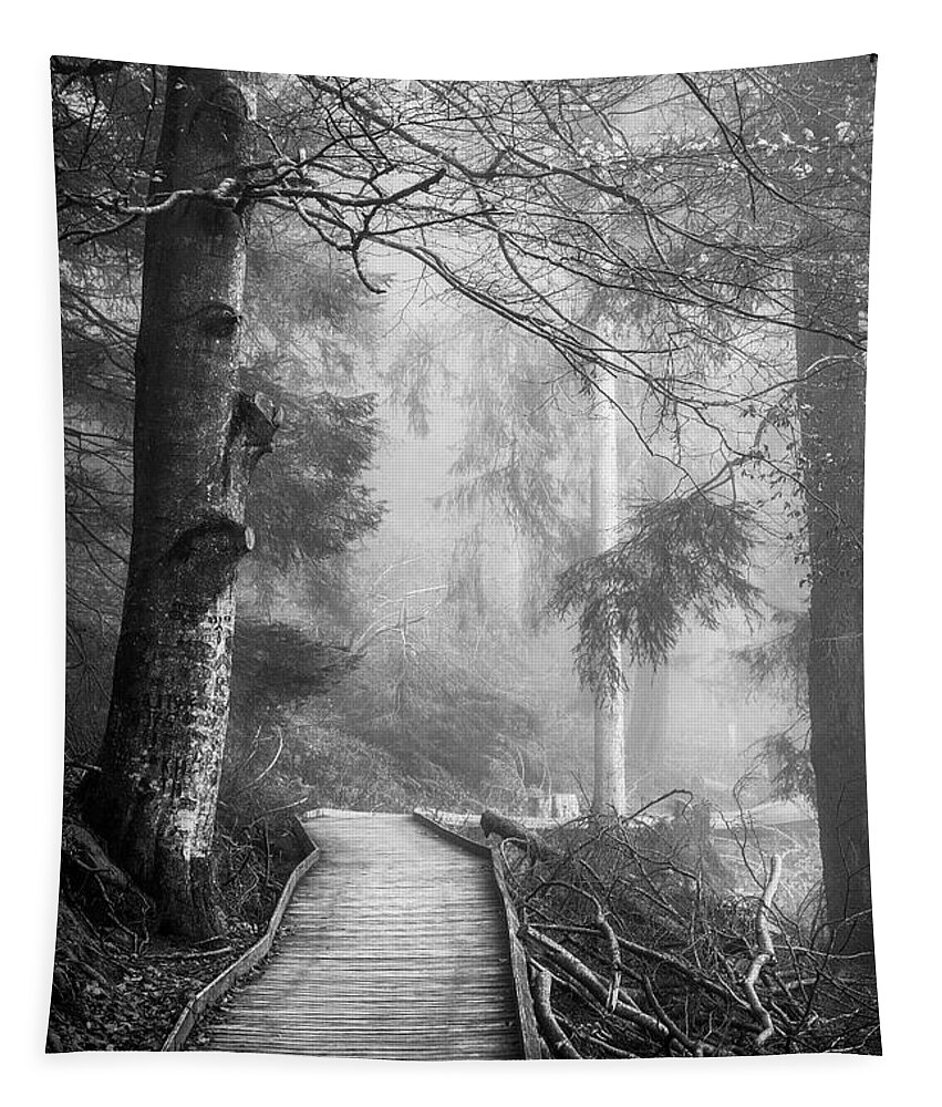 Black And White Tapestry featuring the photograph Divine Forest by Philippe Sainte-Laudy