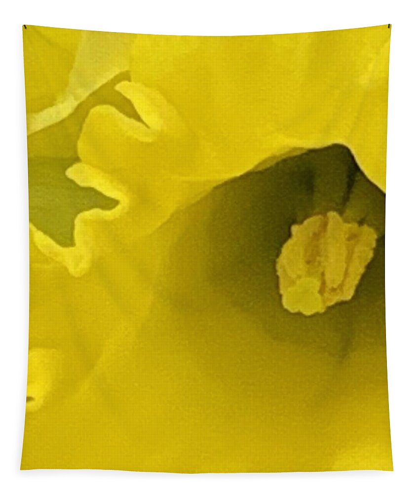 Daffodil Tapestry featuring the photograph Divinely Golden by Tiesa Wesen