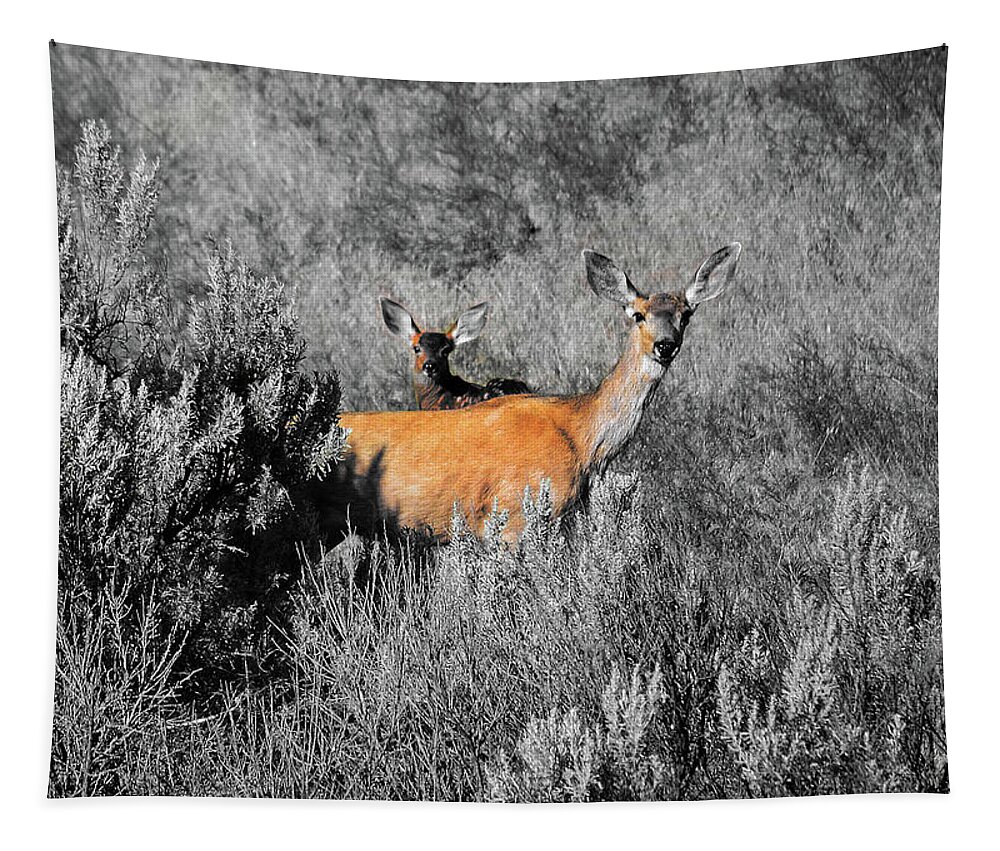 Doe And Fawn Tapestry featuring the digital art Doe and fawn by Fred Loring
