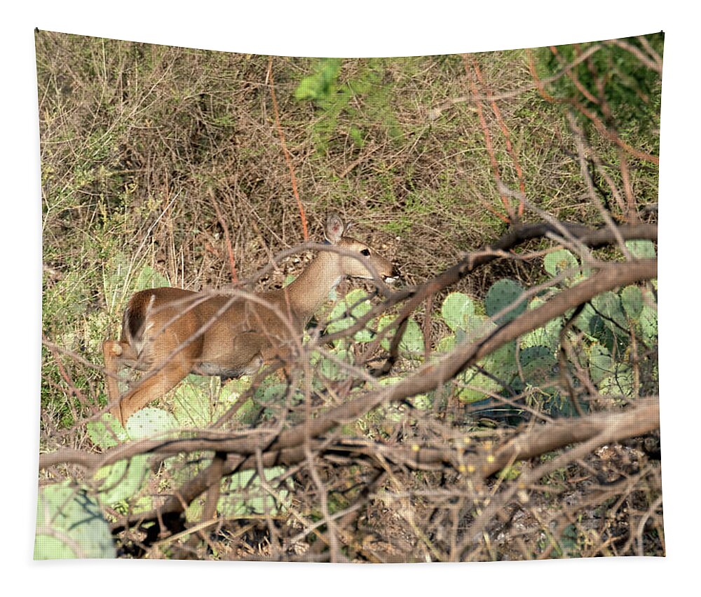 Doe Tapestry featuring the photograph Doe by Eric Hafner