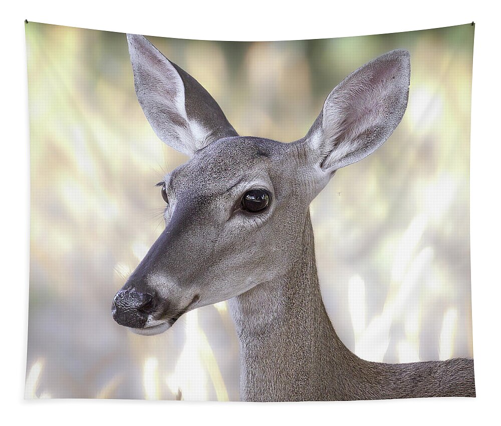 Doe Tapestry featuring the photograph Doe Eyes by Cheri Freeman