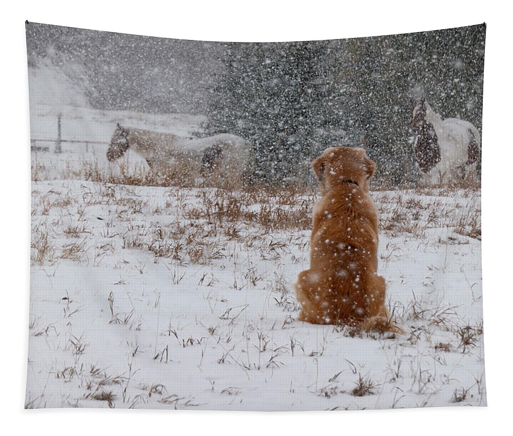 Snow Tapestry featuring the photograph Dog And Horses In The Snow by Karen Rispin