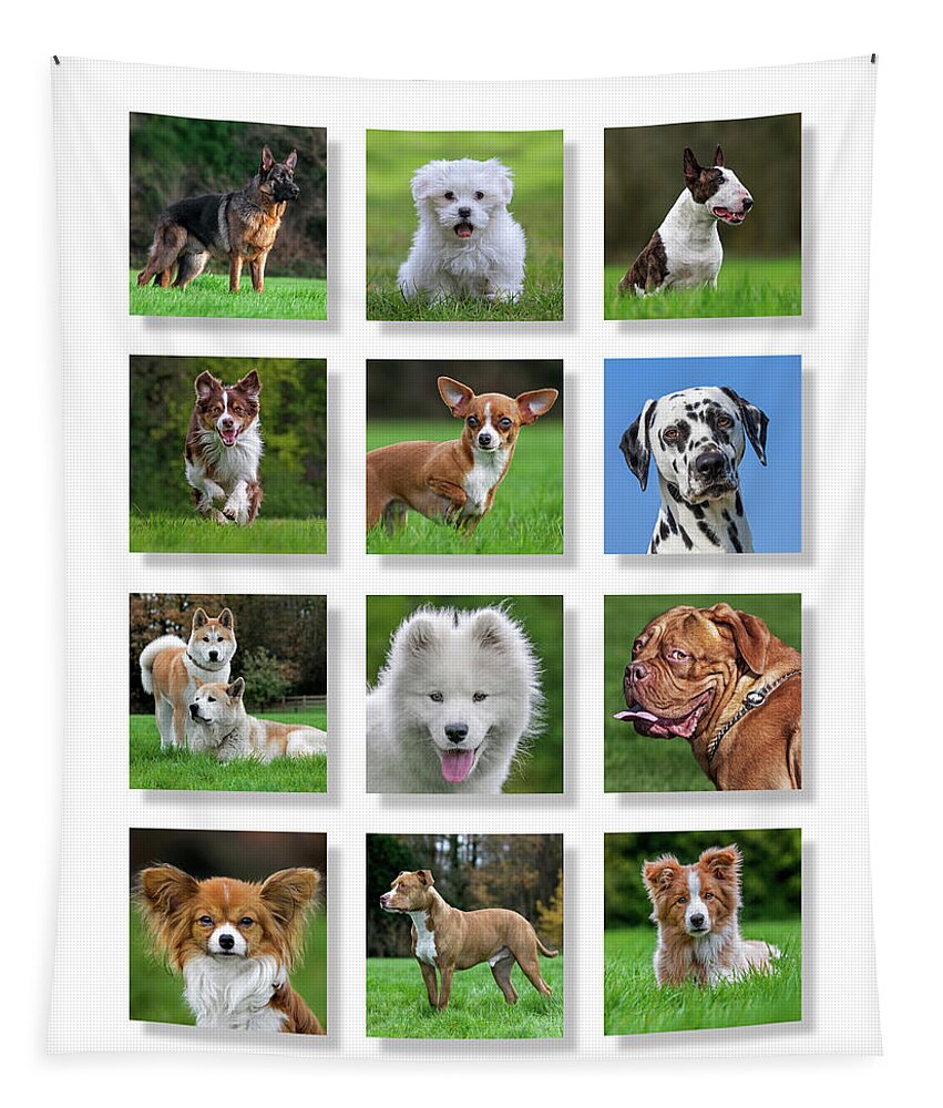 Collage Tapestry featuring the photograph Dog Breeds by Arterra Picture Library