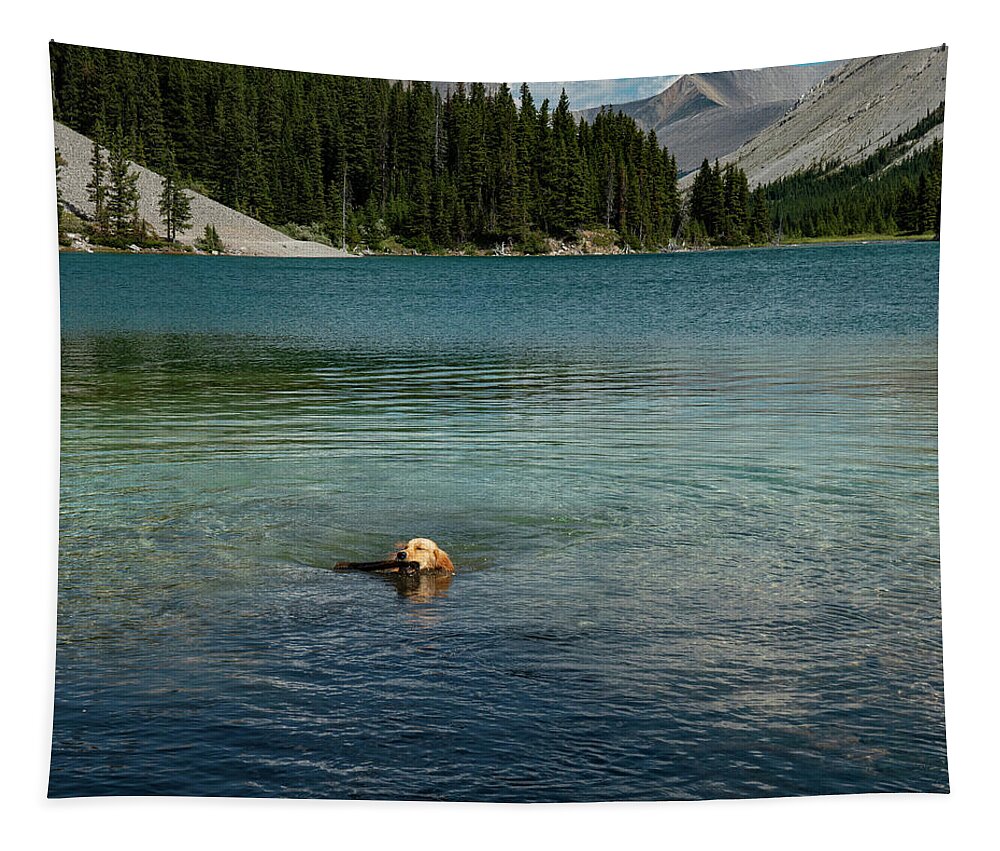 Dog Tapestry featuring the photograph Dog in Elbow Lake, Alberta by Karen Rispin