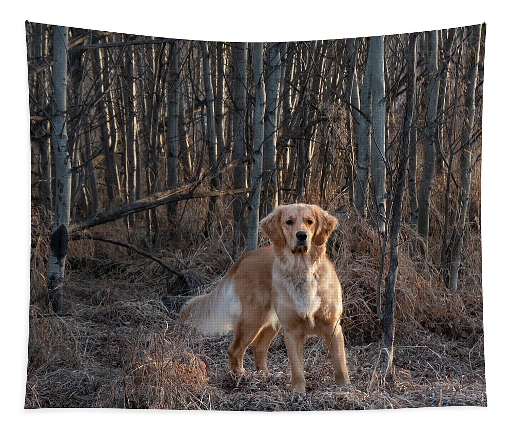 Dog Tapestry featuring the photograph Dog In The Woods by Karen Rispin