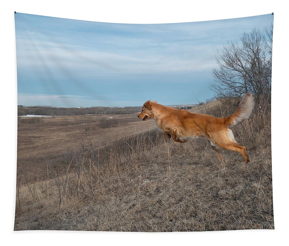 Leap Tapestry featuring the photograph Dog Leaping Down A Hill by Karen Rispin