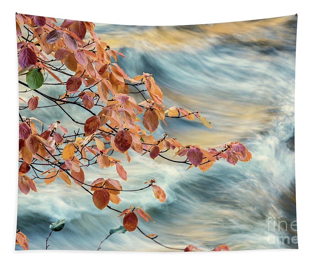 Dogwood Tapestry featuring the digital art Dogwood and Standing Waves by William Fields