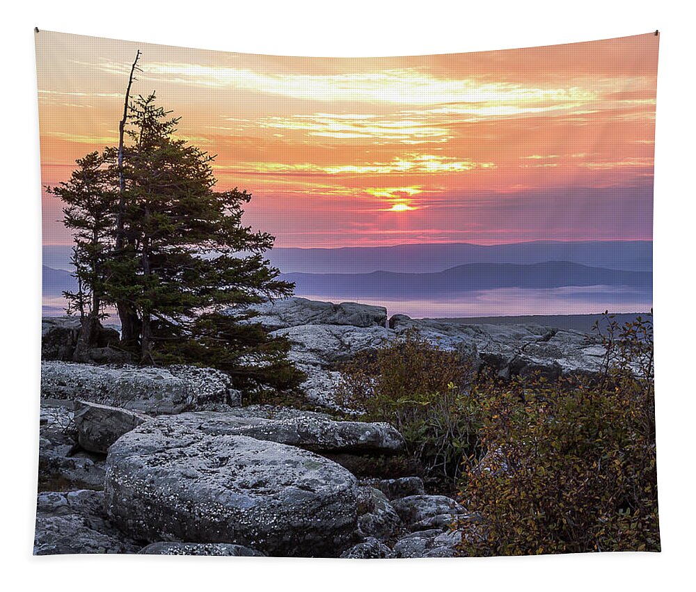 West Virginia Tapestry featuring the photograph Dolly Sods sunrise by Robert Miller