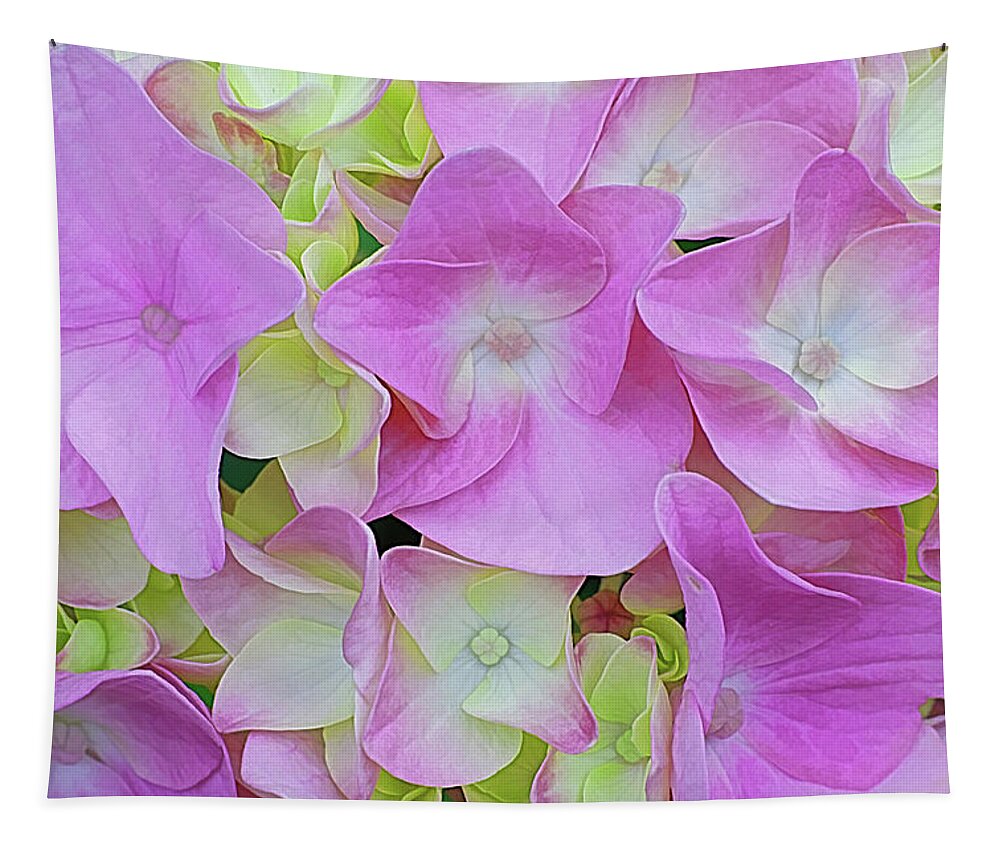 Hydrangeas Tapestry featuring the photograph Don't Dream It's Over by Kathi Mirto