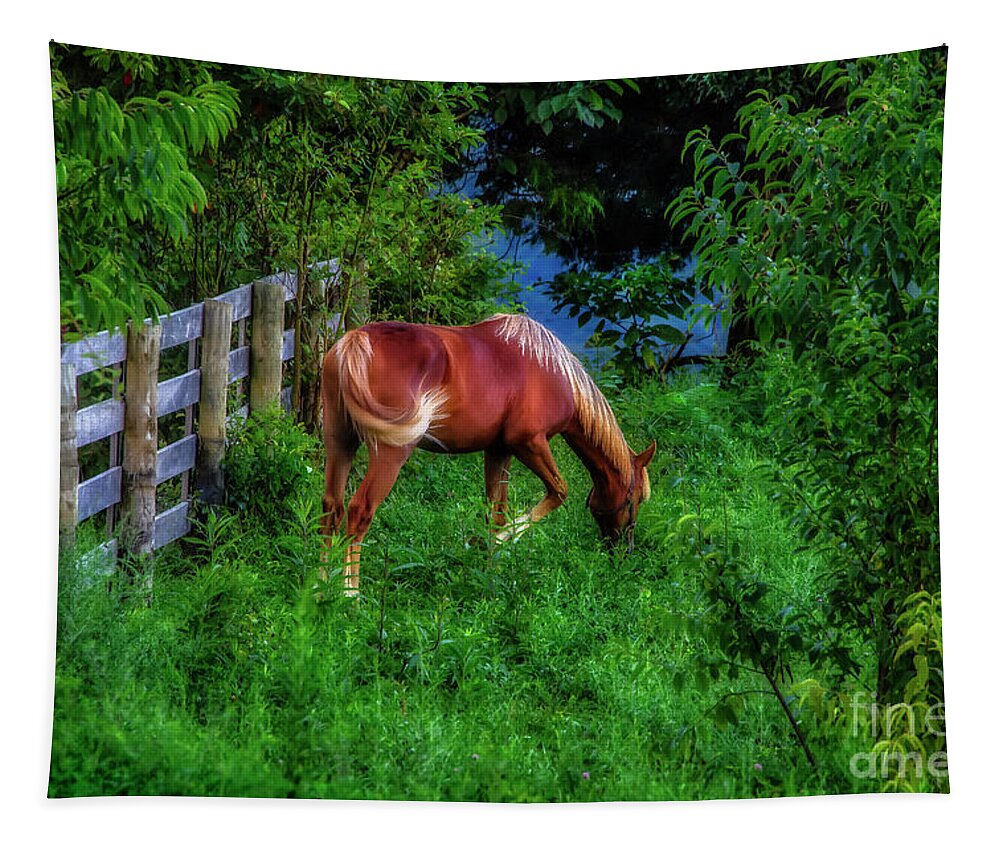 Horse Tapestry featuring the photograph Don't fence me in... by Shelia Hunt