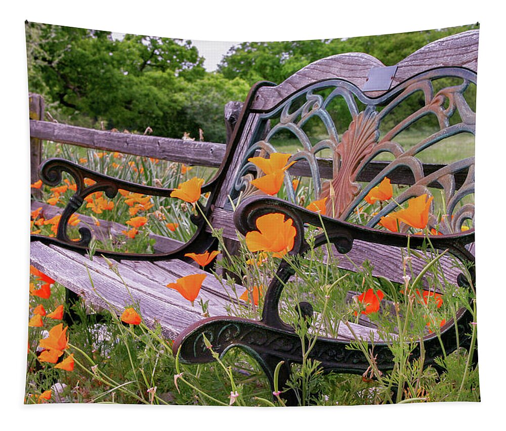 California Poppies Tapestry featuring the photograph Don't Sit on the Poppies by Sally Bauer