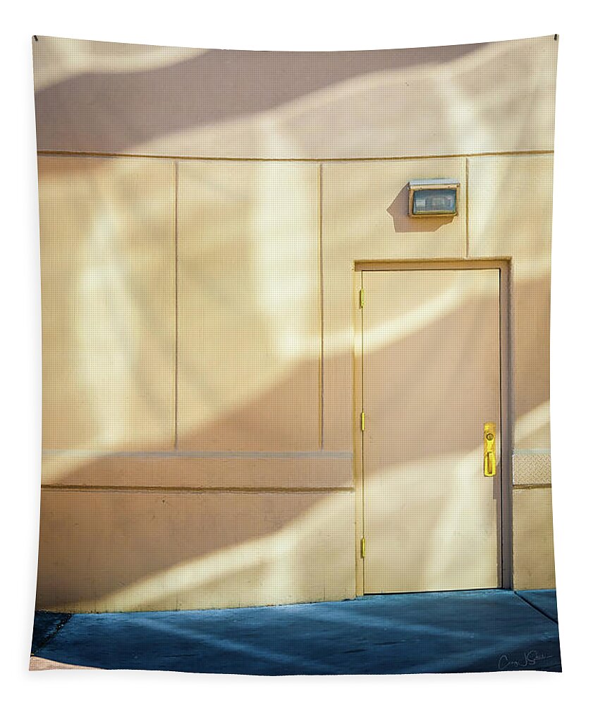 Doors Tapestry featuring the photograph Door Light by Craig J Satterlee