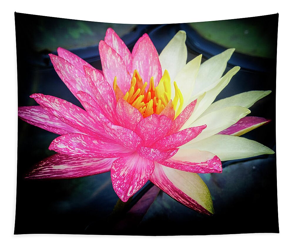 Floral Tapestry featuring the photograph Double faced. by Usha Peddamatham