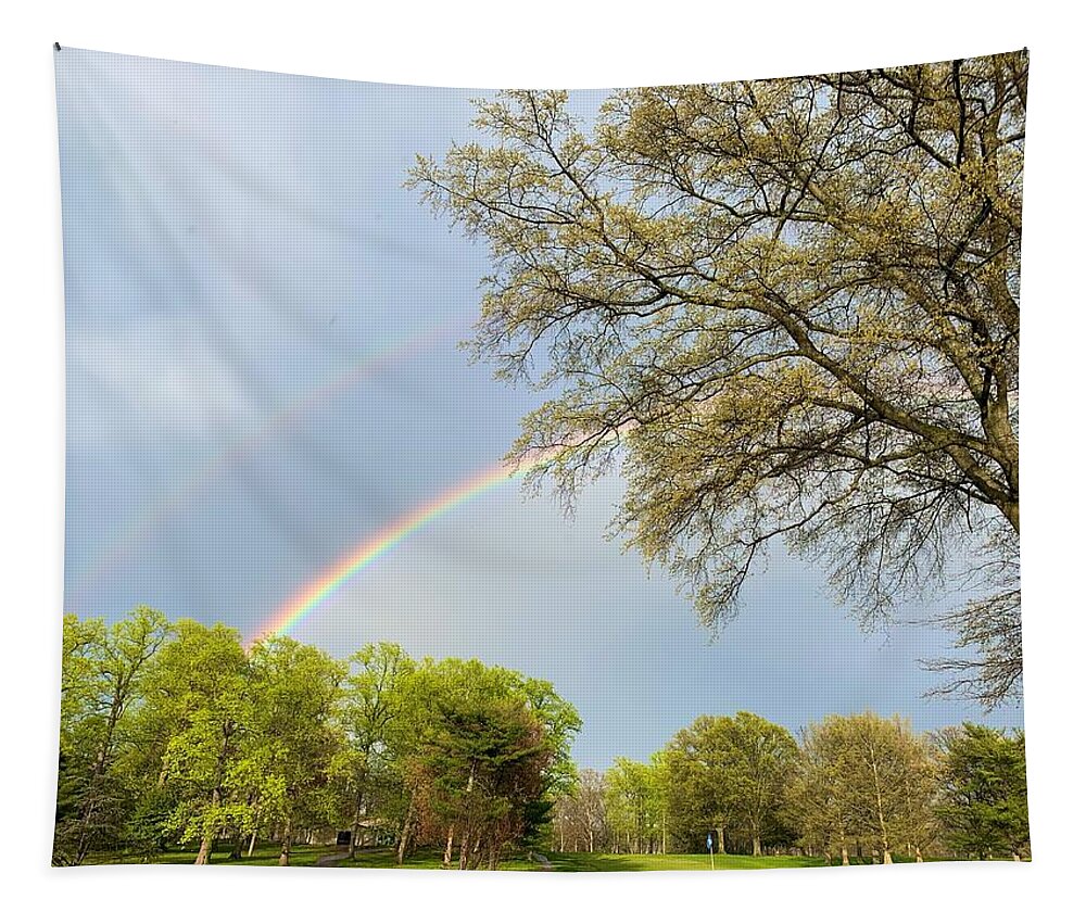 Rainbow Tapestry featuring the photograph Double Rainbow by Chris Montcalmo
