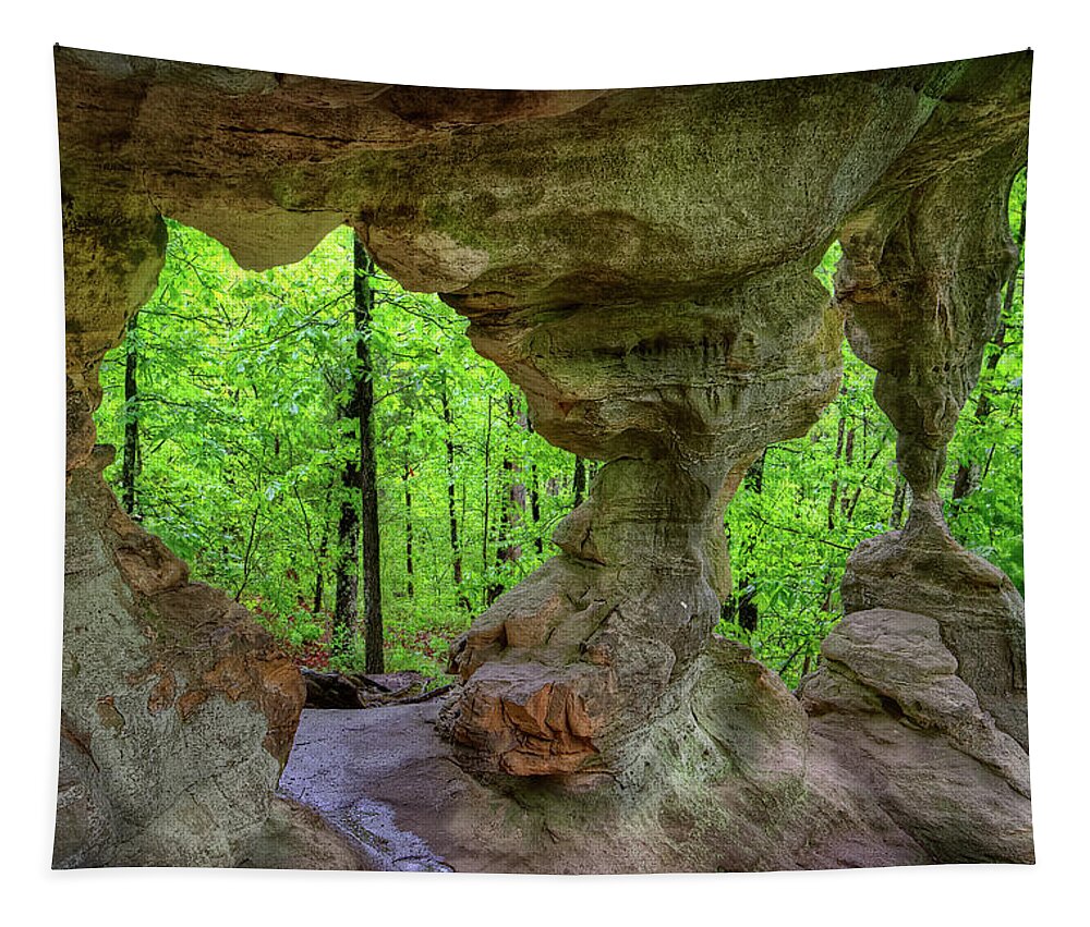 Double Arch Tapestry featuring the photograph Double Sandstone Arch by Robert Charity