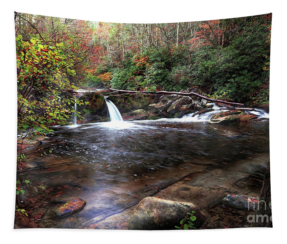 Waterfalls Tapestry featuring the photograph Double Trouble by Rick Lipscomb