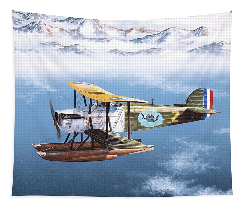 Aviation Tapestry featuring the painting Douglas World Cruiser by Steve Ferguson