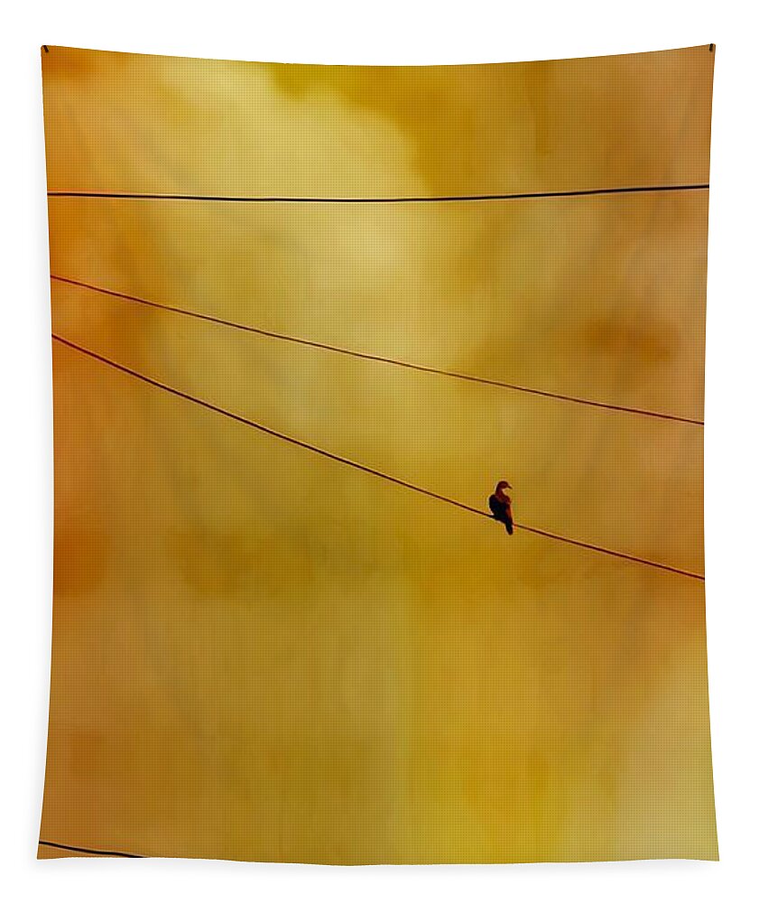 Perching Tapestry featuring the photograph Dove on a Wire - Gold by Judy Kennedy