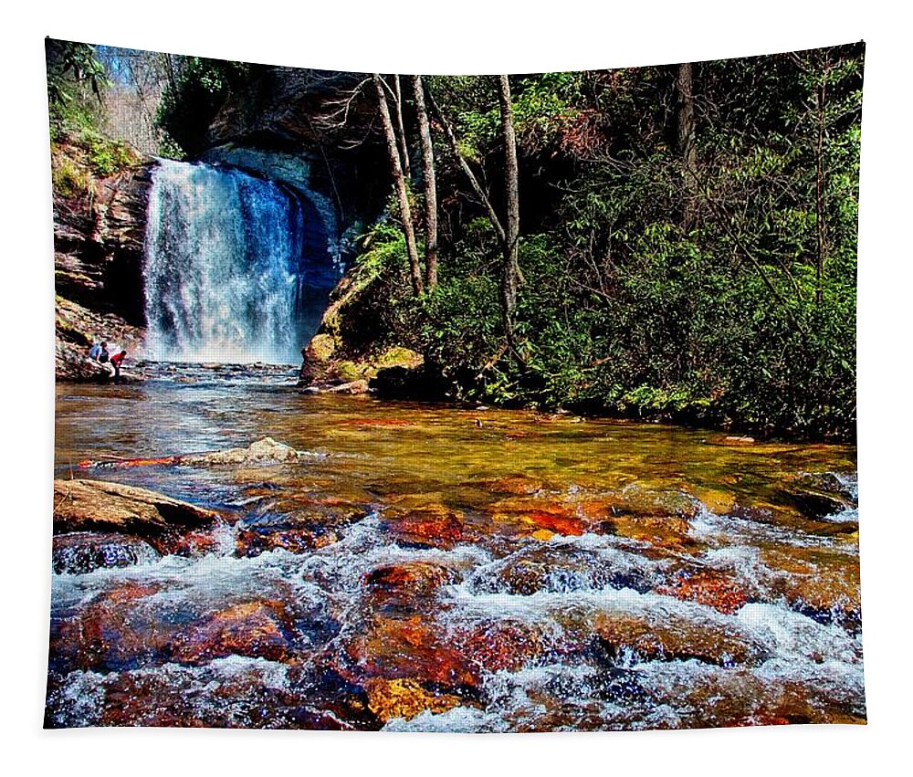 Waterfall Tapestry featuring the photograph Down By the River by Allen Nice-Webb