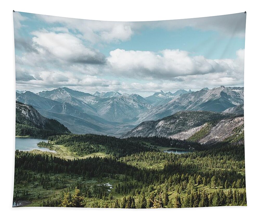 Mount Assiniboine Provincial Park Tapestry featuring the photograph Down into the valley - green trees near mountain under white clouds during daytime - Mount Assiniboine, Mount Assiniboine Provincial Park, East Kootenay G, BC, Canada by Julien