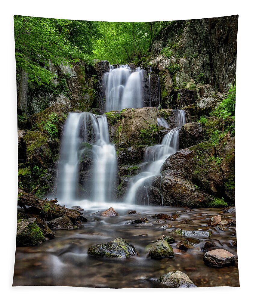 Skyline Drive Tapestry featuring the photograph Doyles River Falls by C Renee Martin