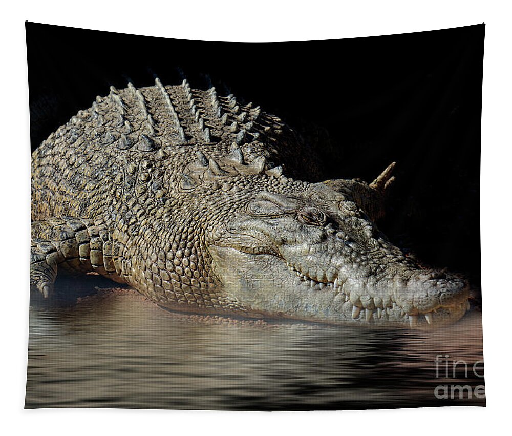 Crocodile Tapestry featuring the photograph Dozy Crocodile by Elaine Teague