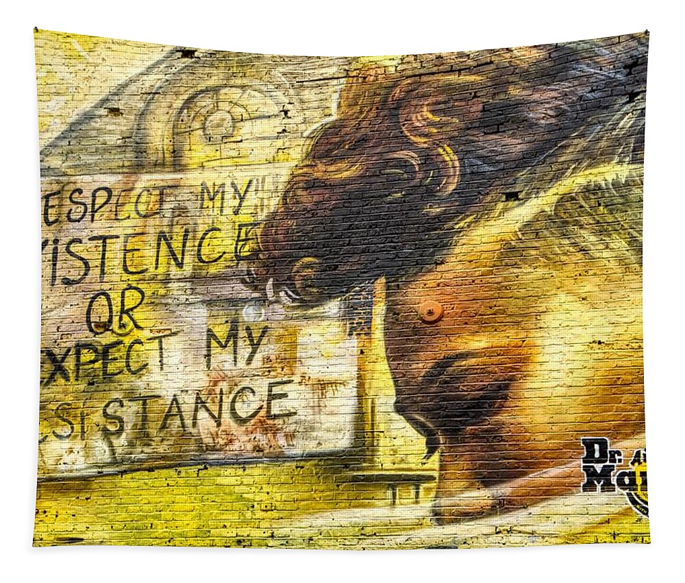 Graffiti Tapestry featuring the photograph Dr Martins Mural by Raymond Hill