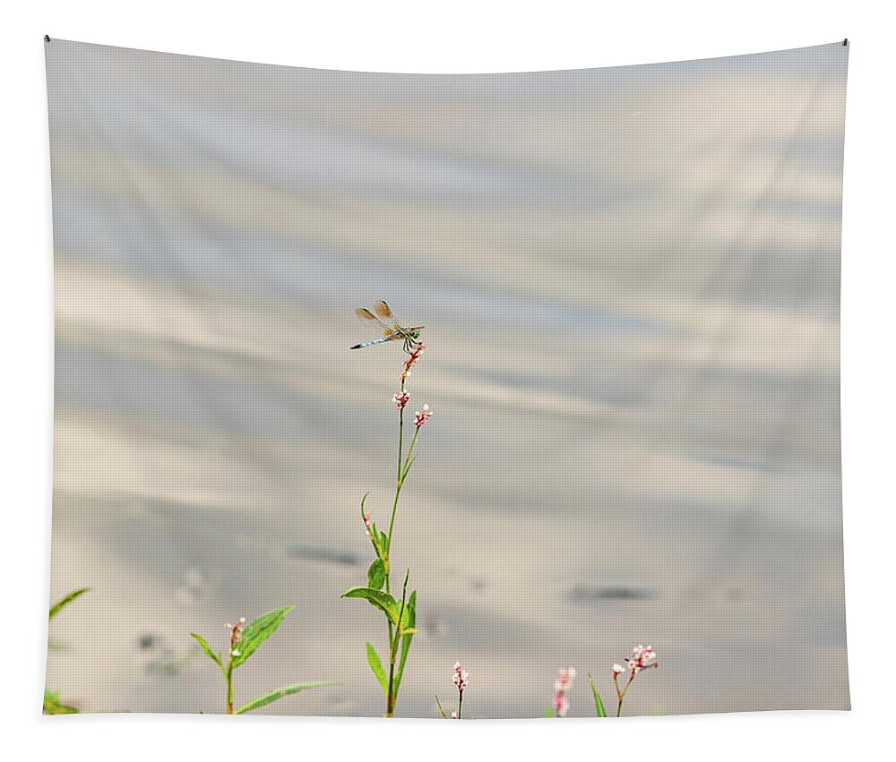 Flower Tapestry featuring the photograph Dragonfly at the Lake by Amelia Pearn