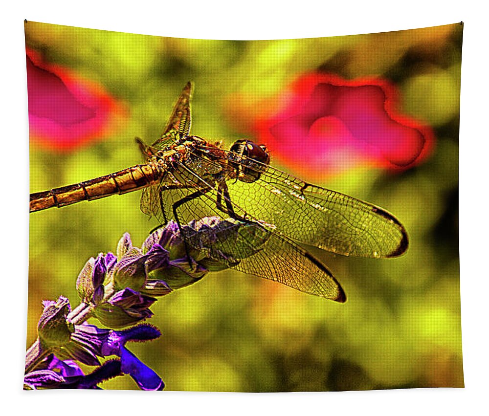 Dragonfly Tapestry featuring the photograph Dragonfly by Bill Barber