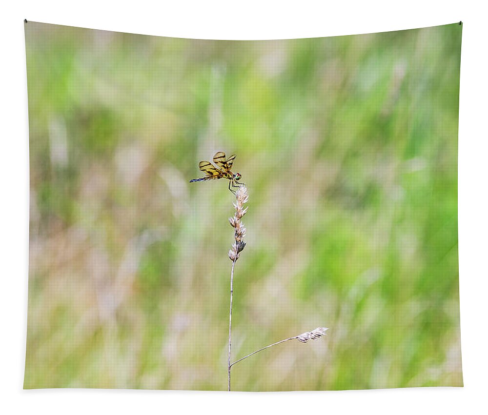 Nature Tapestry featuring the photograph Dragonfly in the Field by Amelia Pearn