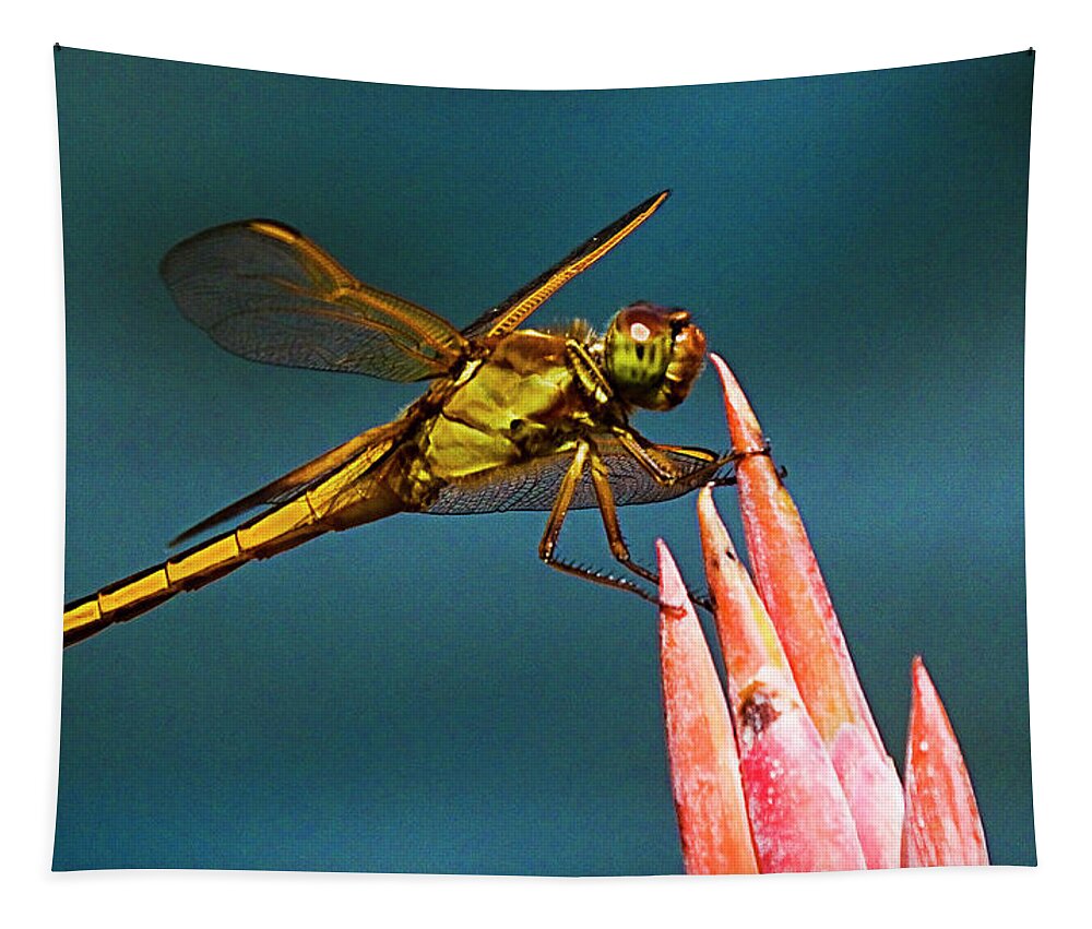 Dragonfly Tapestry featuring the photograph Dragonfly Resting by Bill Barber