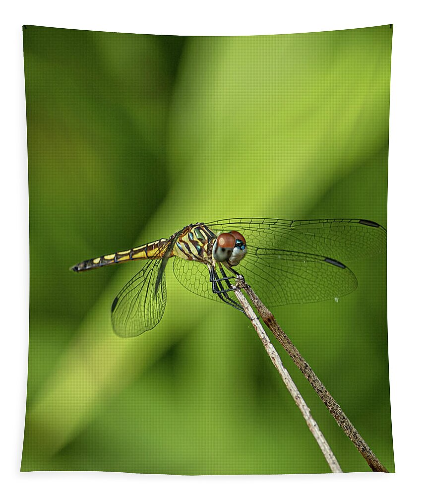 Wing Tapestry featuring the photograph Dragonfly by Rick Nelson