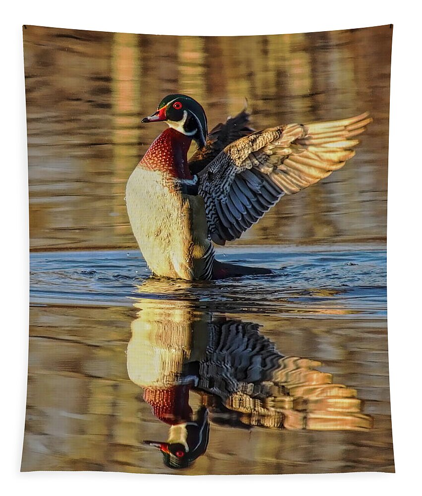 Waterfowl Tapestry featuring the photograph Drake Wood Duck Stretching by Dale Kauzlaric