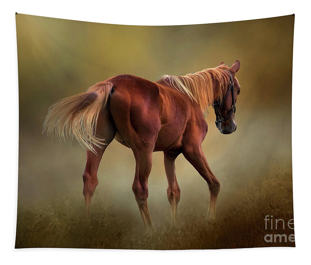 Horse Tapestry featuring the photograph Dream Horse by Shelia Hunt